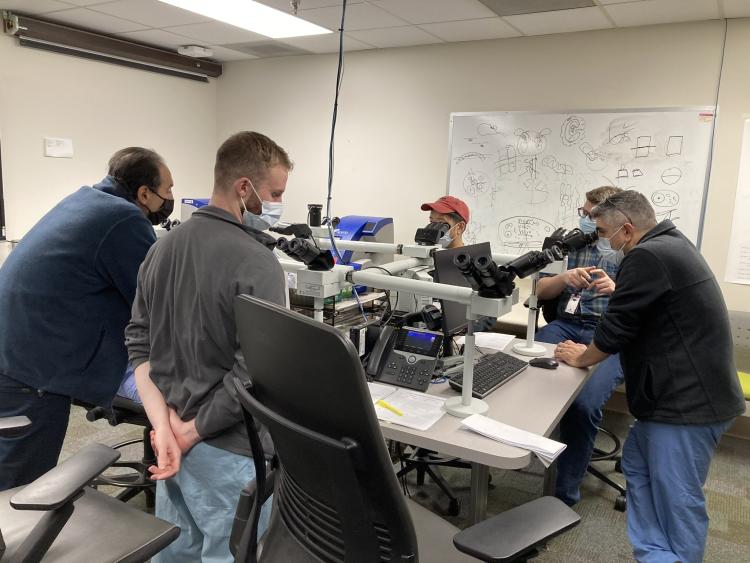 Fellows doing lab project